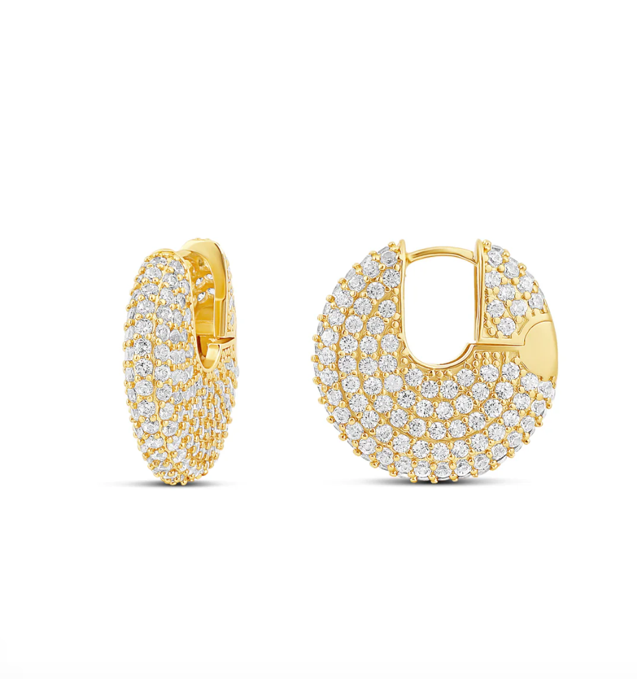Glam Fiz Earrings